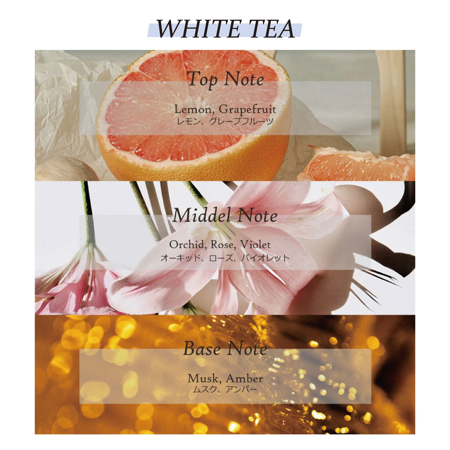 フィットユアスキン ハンドセラムトリプルセット