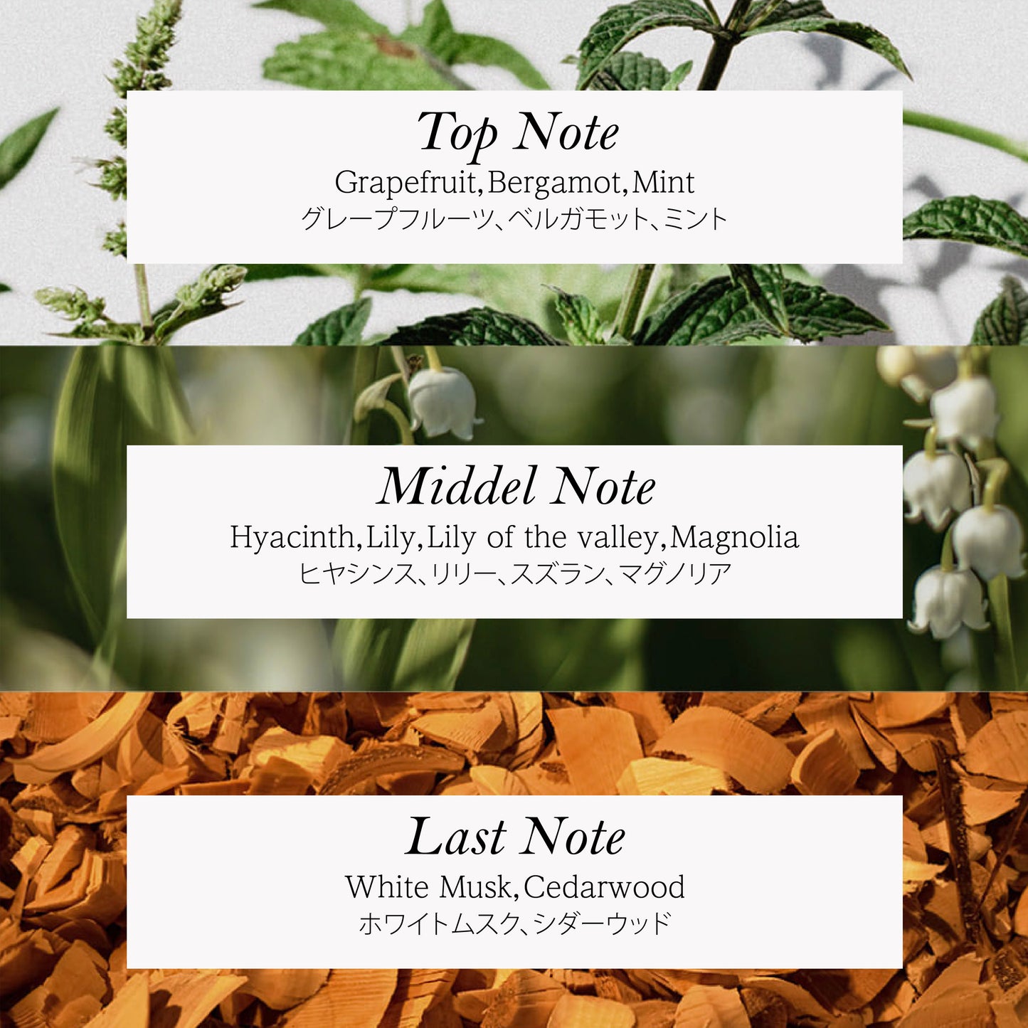 フィットユアスキン サントゥッコンディショナーミニ　50ml