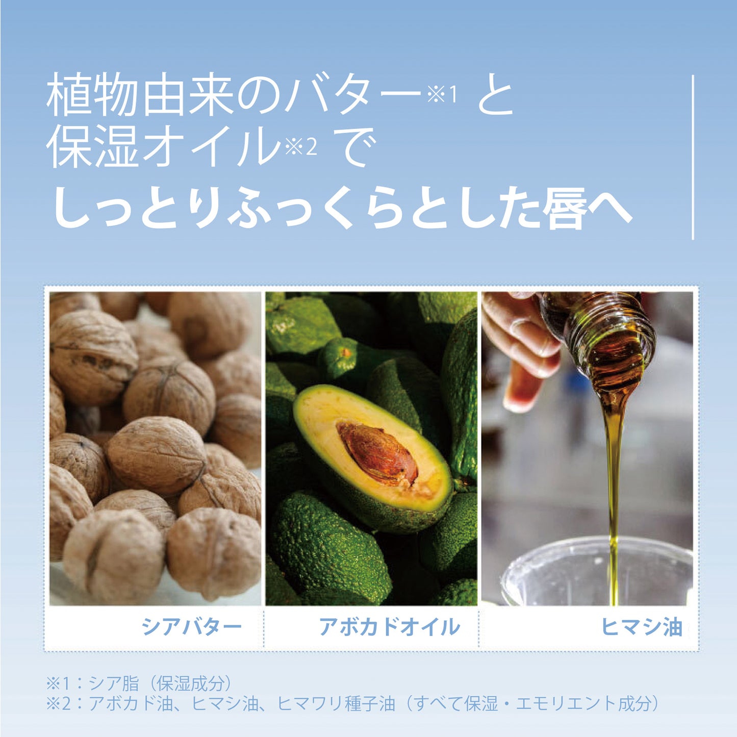 フィットユアスキン リップチークヒドゥンライター 00 スノーべール 5g