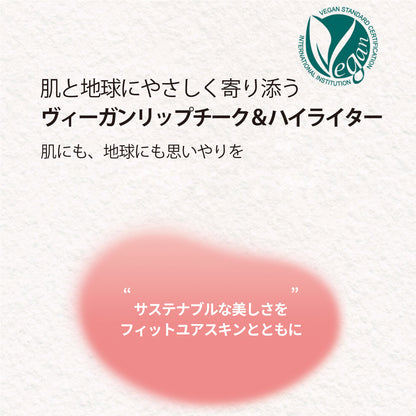 フィットユアスキン リップチークヒドゥンライター 02 サテンローズ 5g