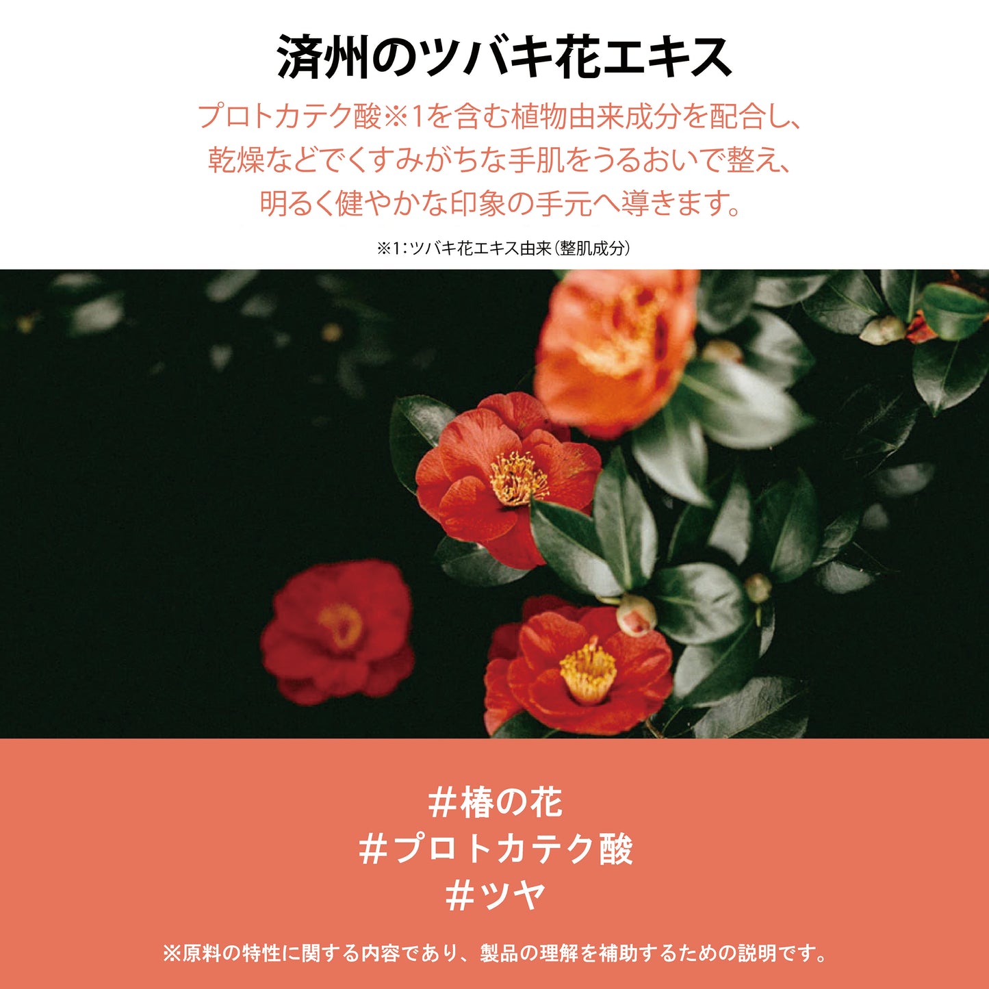 フィットユアスキン ハンドセラムサボン　50ml