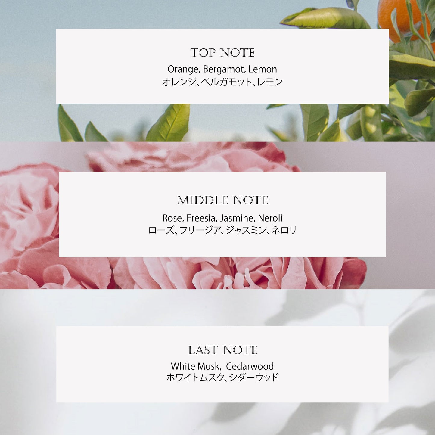 フィットユアスキン スターシャインヘアエッセンス　100ml