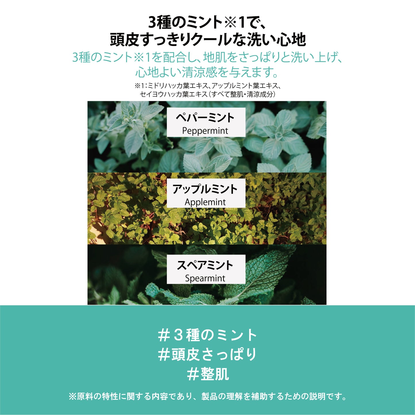 フィットユアスキン サントゥッシャンプー　500ml