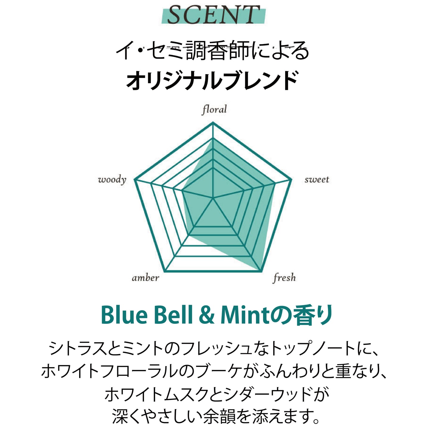 フィットユアスキン サントゥッシャンプー　500ml