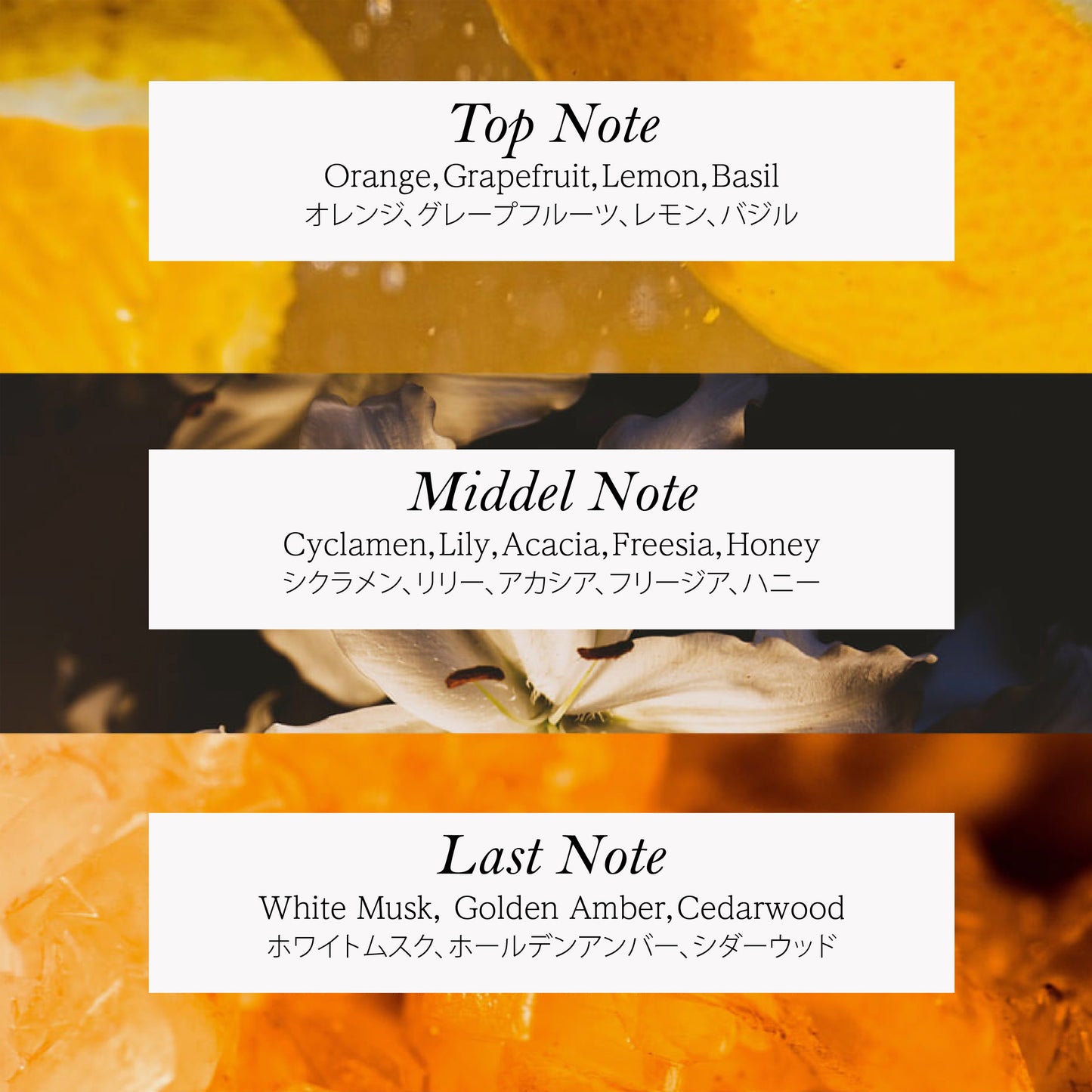 フィットユアスキン ダンダンシャンプーミニ　50ml