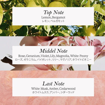 フィットユアスキン テンテンコンデイショナー　500ml